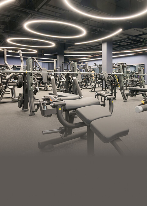 Тренажерный зал, оснащенный зоной свободных весов и силовыми тренажерами